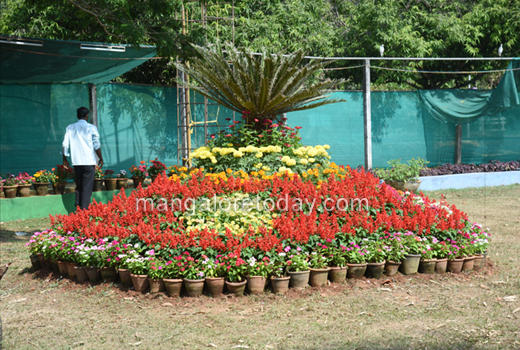 flower show 2